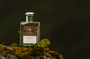 Autumn Fragrances