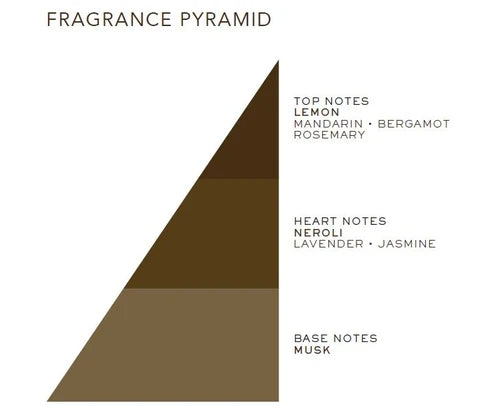 Mayfair Cologne fragrance pyramid