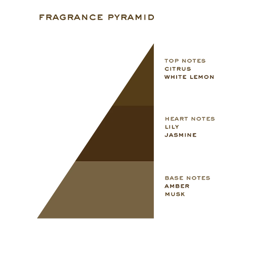 1805 Cologne fragrance pyramid