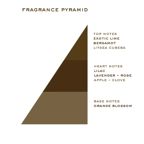 West Indian Limes Cologne fragrance pyramid